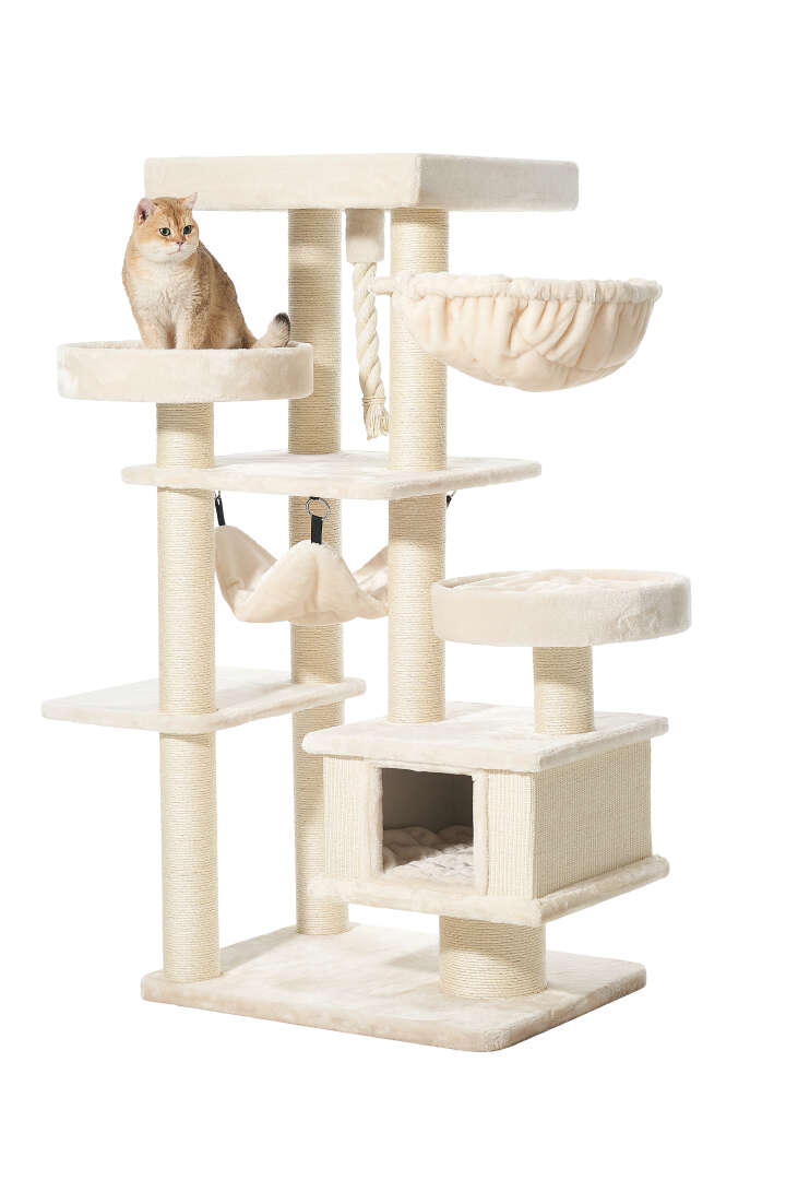 Nobby Kratzbaum Vago